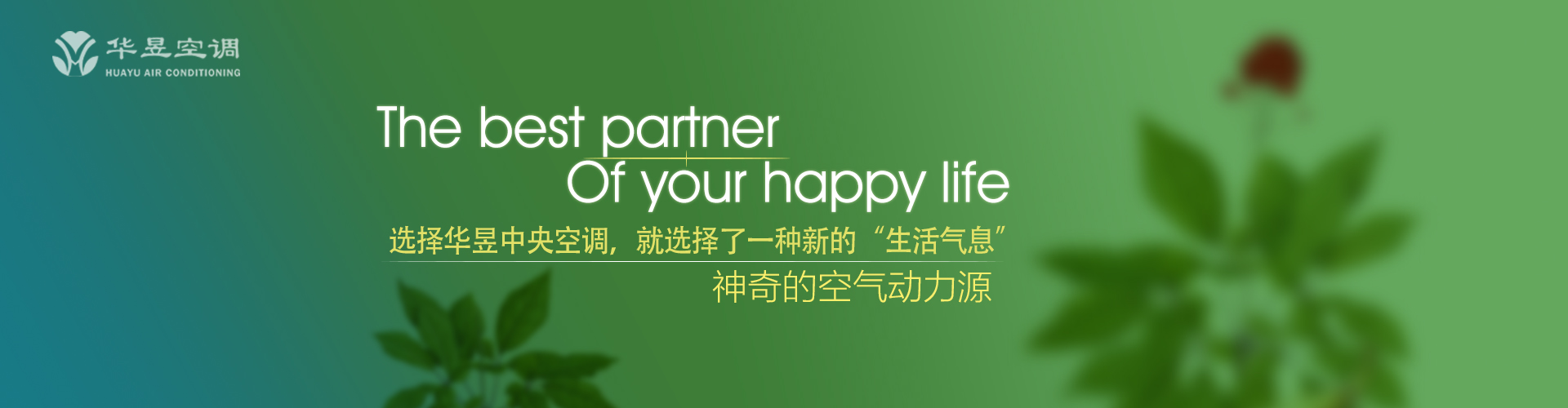 随珠和璧网
